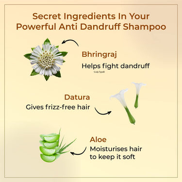 Vedix Ayurvedic Dandruff Care for Men |Taritha Anti HairFall Shampoo Customised For Normal Oily Hair -100ml